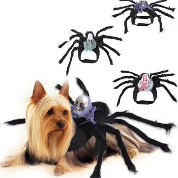 Креативна Котка, куче, малка кучешки скелет в нов костюм, домашен любимец, паяк, гърди, гръб