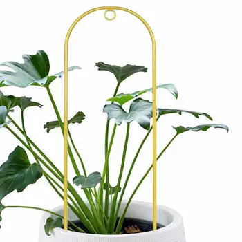 Пергола За Увивни Растения Метални Решетки Извита Форма За Стайни Растения С Агатом За Градински Цветя Лози В Саксии